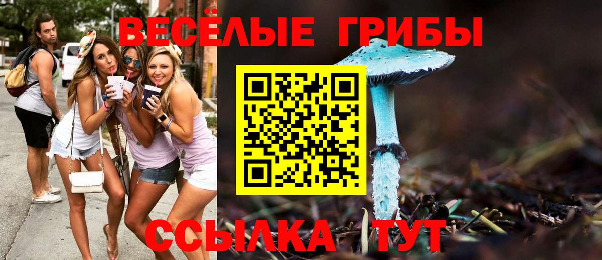 Галлюциногенные грибы ЛСД  Вход с VPN  Псилоцибиновые грибы прущие грибы  Кисловодск 